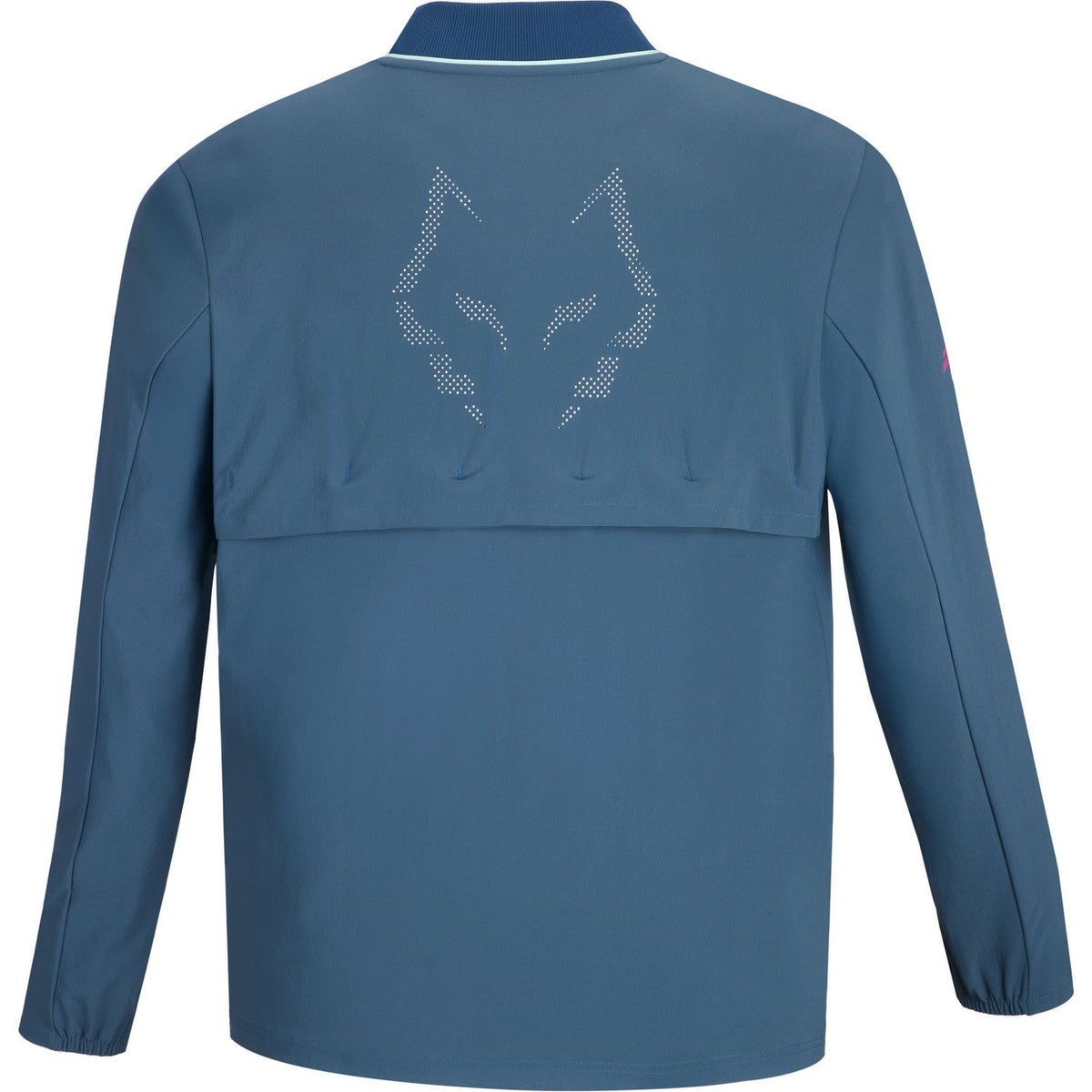 BabolatJuanLebronJacketLegionBlue2.jpg