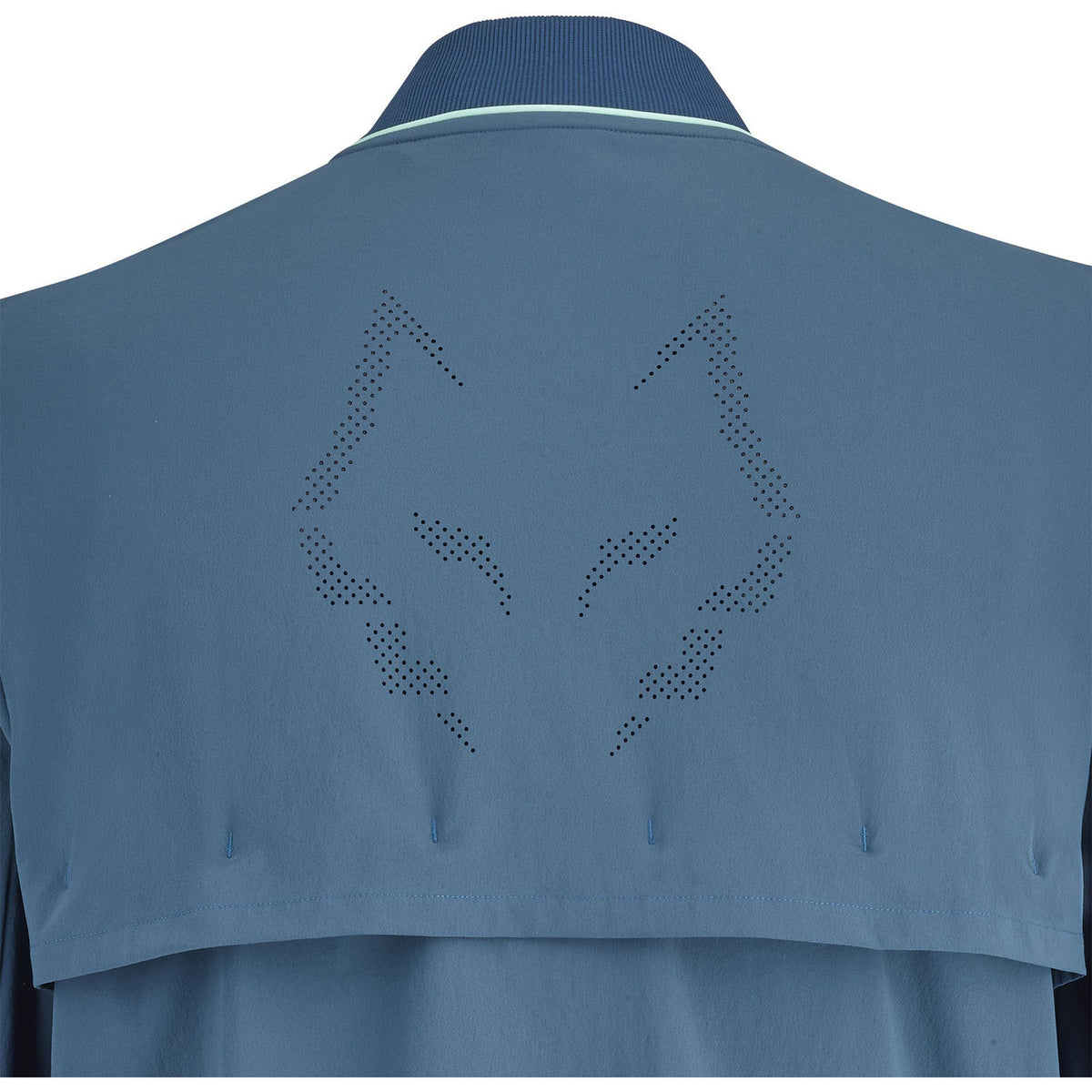 BabolatJuanLebronJacketLegionBlue6.jpg